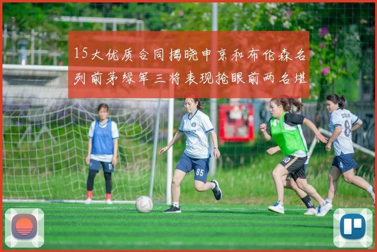 15大优质合同揭晓申京和布伦森名列前茅绿军三将表现抢眼前两名堪称传奇
