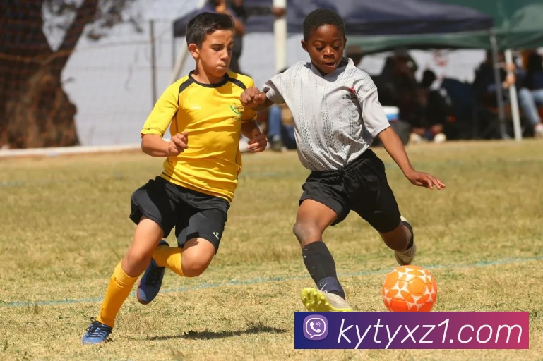 开云体育APP下载APP 封面图